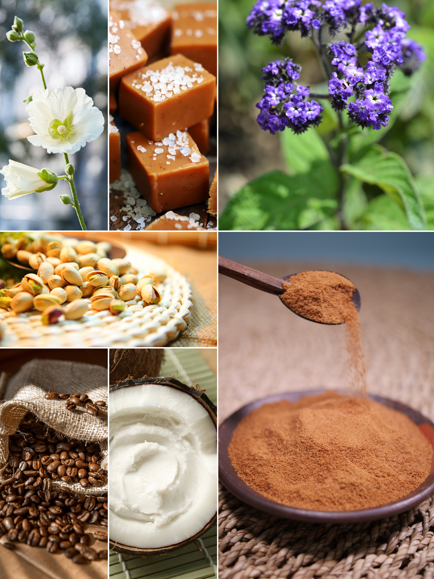 Coconut Crème Shea Body Butter