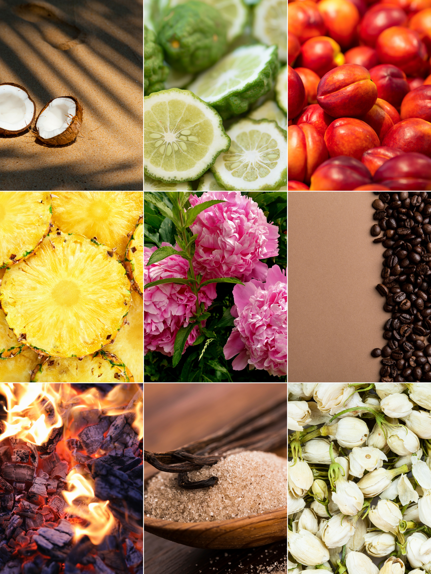 Amber Nectarine Shea Body Butter